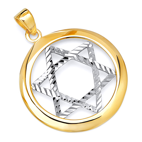 Encircled Diamond-Cut Star of David Pendant in 14K Two-Tone Gold