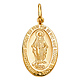 Small Our Lady Of Guadalupe Oval Medal Pendant in 14K Yellow Gold thumb 1