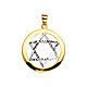 Encircled Diamond-Cut Star of David Pendant in 14K Two-Tone Gold thumb 1