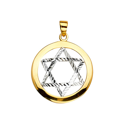 Encircled Diamond-Cut Star of David Pendant in 14K Two-Tone Gold Slide 1