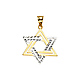 Modern Diamond-Cut Star of David Pendant in 14K Two-Tone Gold thumb 1