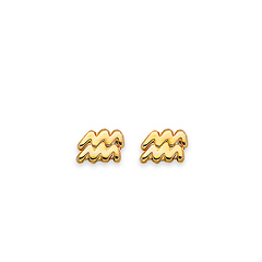 Astrology Sign Zodiac Stud Earrings in 14K Yellow Gold - Aquarius & More